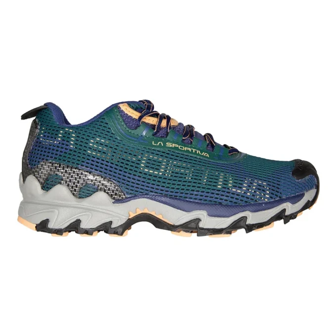 Wildcat 2.0 GTX Γυναικείο